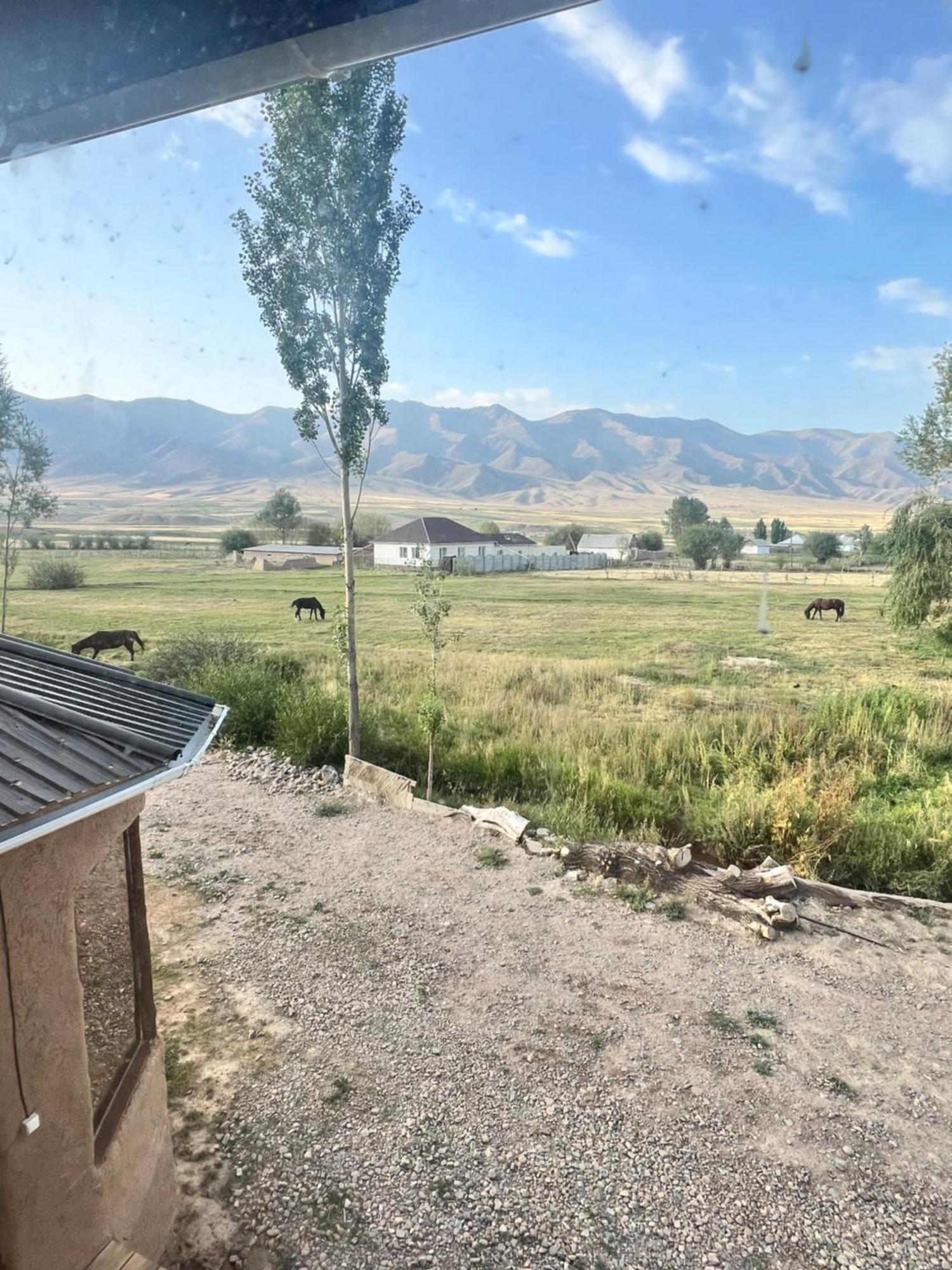 Kyzart Hotel & Horse Tours Bagysh Exteriör bild